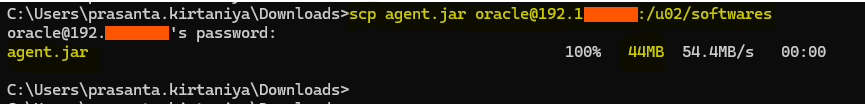 Copy the downloaded agent.jar file to the target Database server