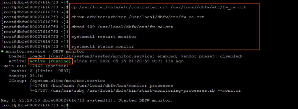 Execute below commands as root on Database Firewall server