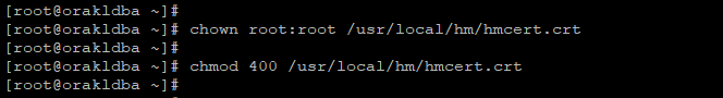 Execute below commands as root on Target Database server