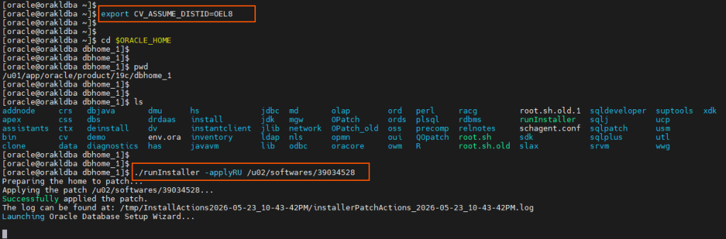 Install Oracle 19c with ApplyRU