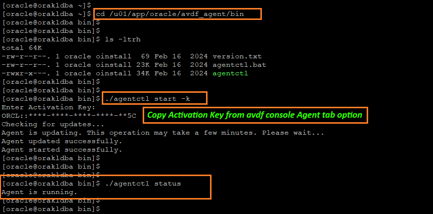 Start the Agent and check agent running status